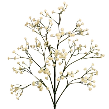Blossom - Gypsophila - Cream 26in - GTG482-CR