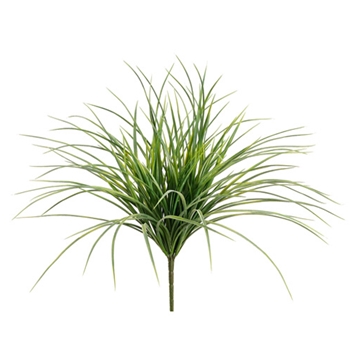 Grass - Carex Plant Weeping Lime 20in - PBG628-GR