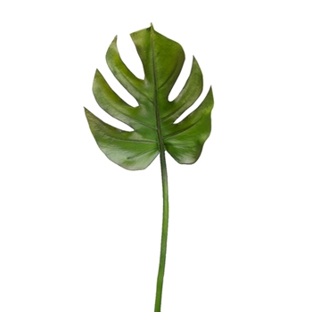 Philodendron Leaf - Split Leaf 23in - PSL105-GR/BU