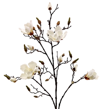 Magnolia - Branch Spring Buds Opening White 40in - FSM336-CR