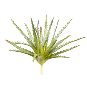 Succulent - Aloe Spike Celery Soft 11IN - CM3113-GR - REAL TOUCH