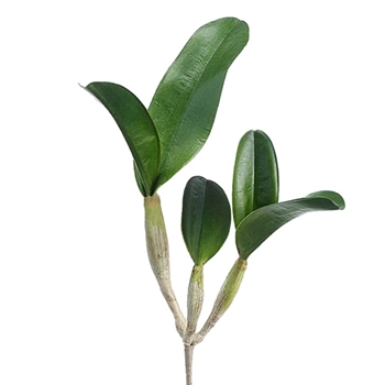 Orchid - Leaf Plant Cattleya Succulent Green/Nat 15in - HSL471-GR
