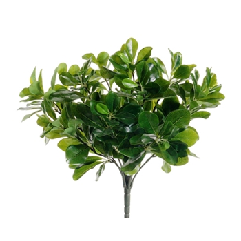 Privet Leaf - Bush Green 15in - PBP201-GR