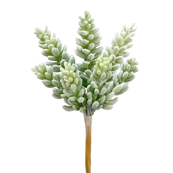 Succulent - Donkey Spray Celadon 7.5in - CS3017-GR/GY - REAL TOUCH