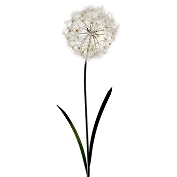 Dandelion Seed - White 40in - FSD283-CR