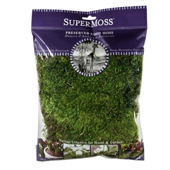 Moss Preserved - Mood Buns Natural Green - 4OZ PKG - 120 Cubic Inches
