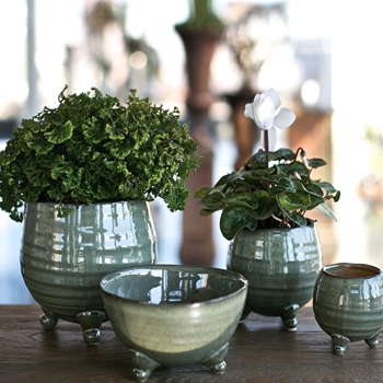 Planter - Willow Pot Collection Discontinued - FINAL FEW