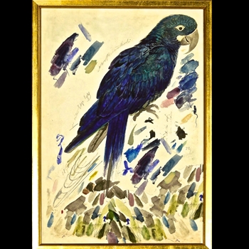 17W/25H Framed Print Lear Blue Parrot SM