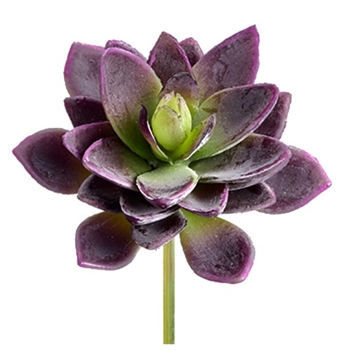Succulent - Agave Soft Violet 5in - CA5107-PU/GR