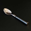 Architect Condiment Spoon