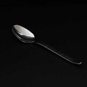Trapiz Condiment Spoon