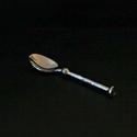 Bangkok Condiment Spoon