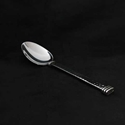 Flatbound Serving Spoon