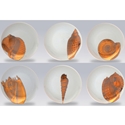 Gilt Shell Canapes Plates/Set of 6
