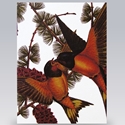 Card/Birds & Pine