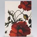 Card/Red Poppies