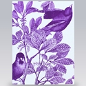 Card/Violet Toile