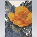 Card/Orange Hibiscus
