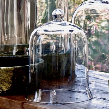 Vases & Vessels Glass