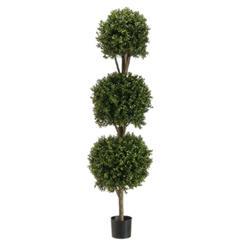 Boxwood Leaf Green Topiary (3 Ball) 5ft