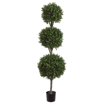 Boxwood Leaf Geen Topiary/3 Ball 6ft