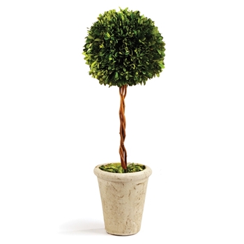 Boxwood Leaf Green Topiary/1 Ball (Preserved)