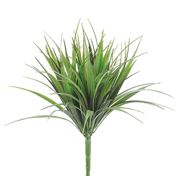 Vanilla Frost Grass