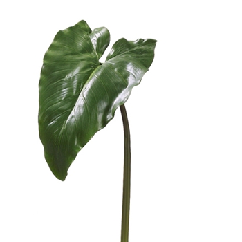 Calla Green Leaf 34in
