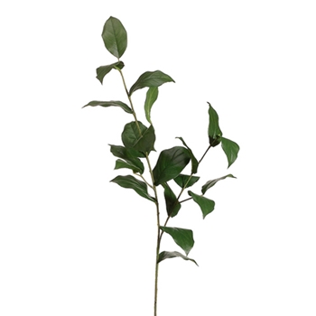 Lemon Leaf Green Branch 36in