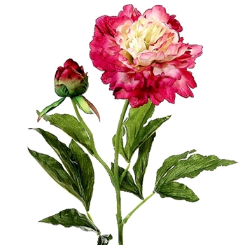 Peony 28in