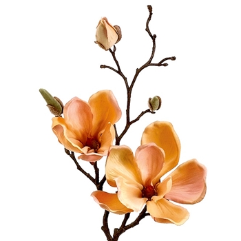 Magnolia 19in