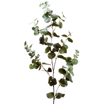 Eucalyptus Leaf 40in