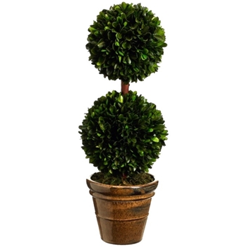 Boxwood Topiary 18in