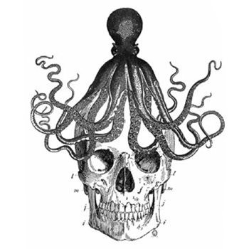 Skull Octopus Tea Towel