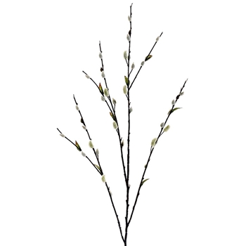 Pussywillow Branch 48in