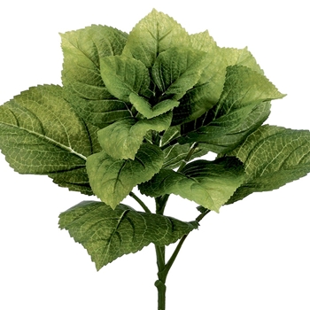 Hydrangea Leaf 19in