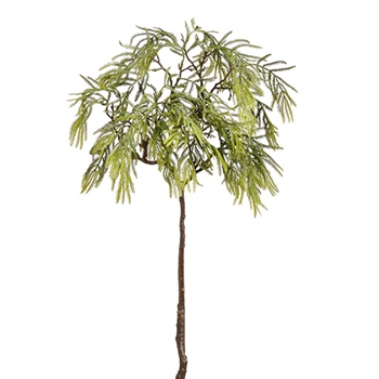 Acacia Leaf 29in