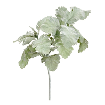 Dusty Miller Leaf 19in