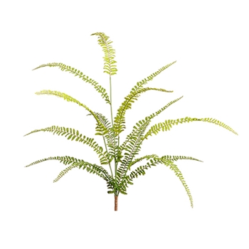 Woodland Soft Fern 30in