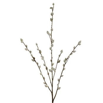 Pussy Willow 31in