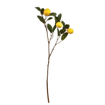 67. Lemon Branch Yellow 30IN