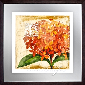 24W/24H Framed Print Vibrant Floral II