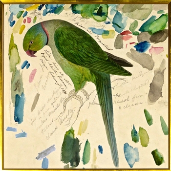 33W/33H Framed Print Lear Green Parrot