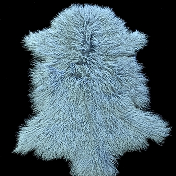 Tibet Mongolian Fur Wedgwood Blue Pelt 34W/22D