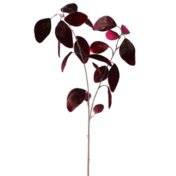 Eucalyptus - Leaf  Bordeaux Velvet 25in - XFS200-PU