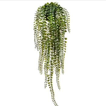 Fern - Button Hanging Plant Potted 24in - LQF569-GR