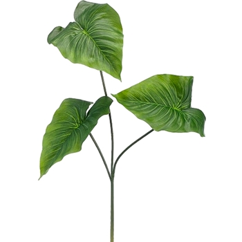 Anthurium - Leaf Green X3 24in - PSA012-GR