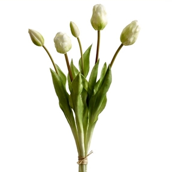 Tulip - Bundle X5 White 18in - FST316-CR