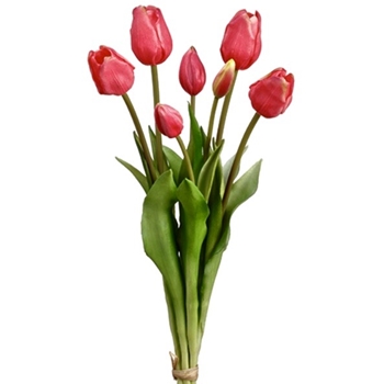 Tulip - Bundle Fuchsia X7 18in - FST129-CE