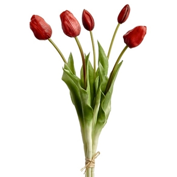 Tulip - Bundle X5 Red 18in - FST316-RE